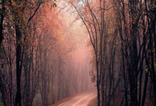 中超:赛季首胜 山东泰山队4-1大连英博队.