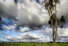 新春走基层|西藏“琪”遇vlog:去“云中球场”感受热爱新华社.