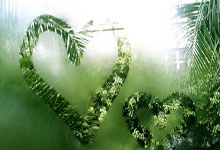 [德甲]第7轮：美因茨VS莱比锡.