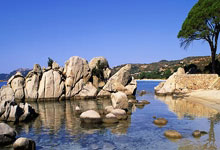 [高尔夫]儿子教练成了爸爸的老师 雷奥纳德夺冠的背后故事.